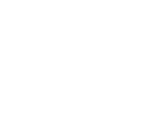 cnhockeywhite